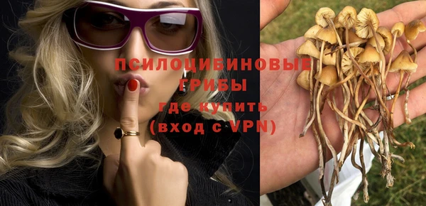 дживик Белокуриха