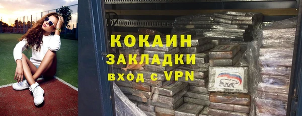 дживик Белокуриха