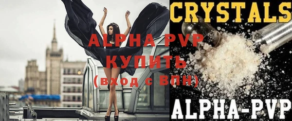 крисы Балахна
