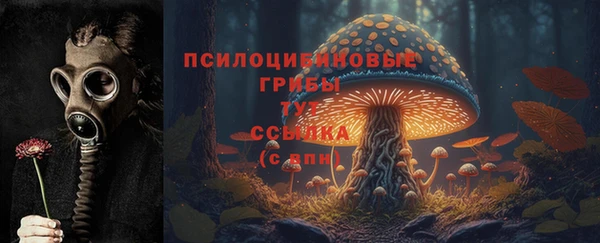 крисы Балахна